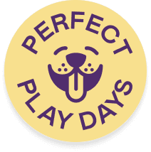 Perfect play days icon