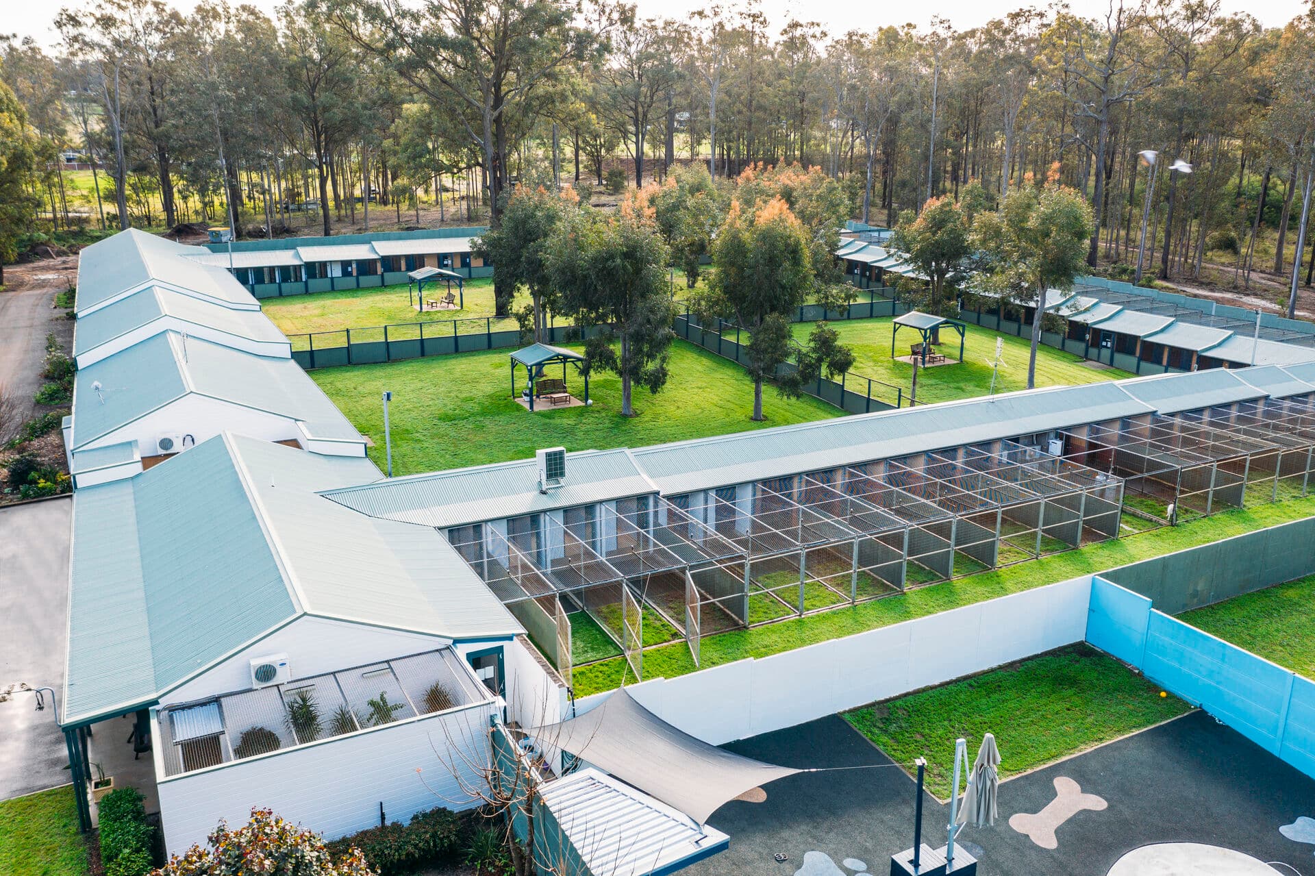 Pet boarding and daycare