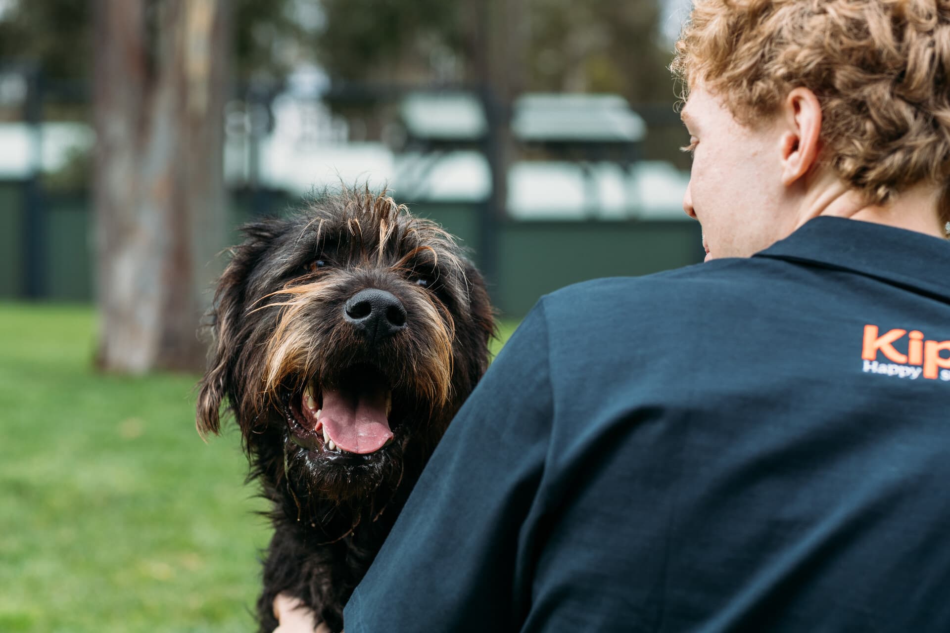 Happy dog with a dog sitter at Pet Hotel Sydney