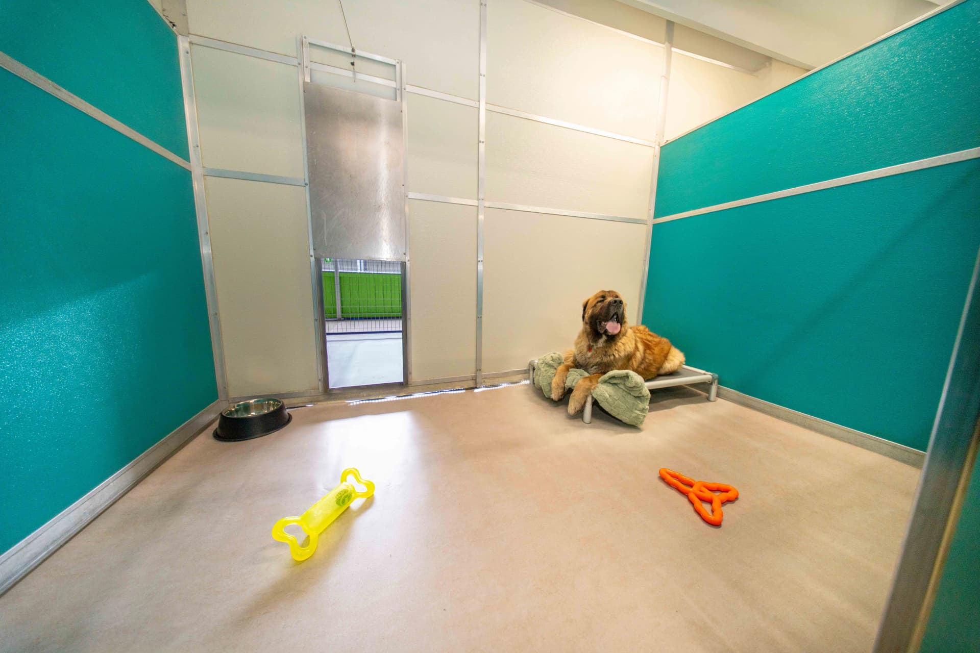 Club Suite image 1