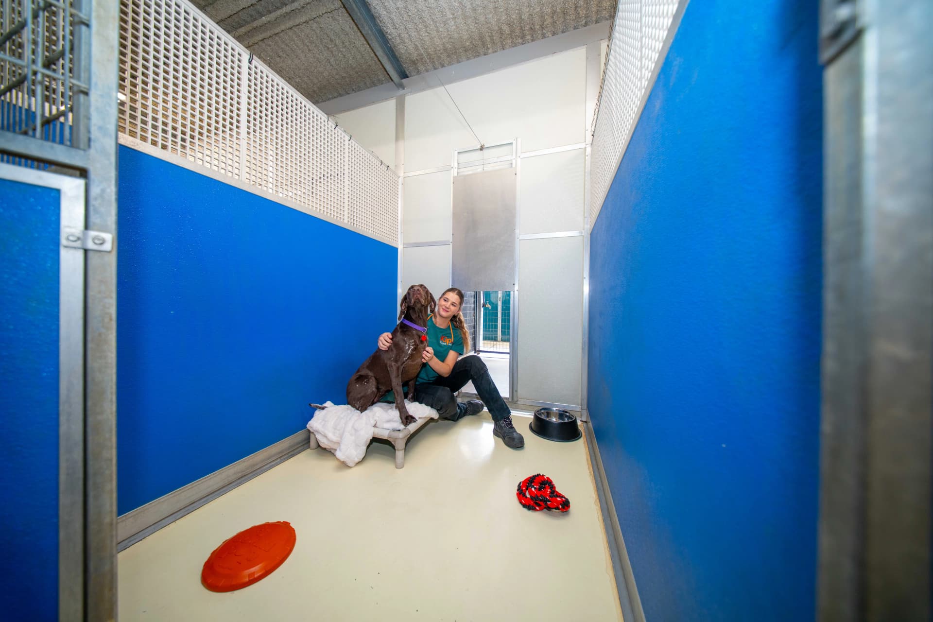 Classic Room (Studio) image 1