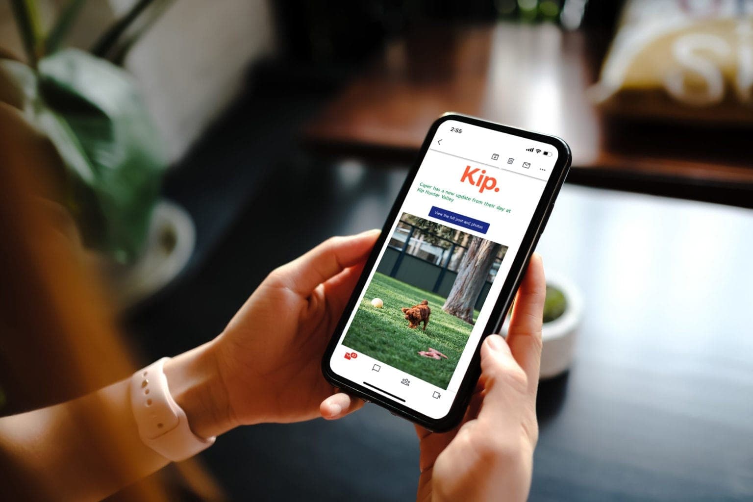 Kip phone app being used to view picture of their dog