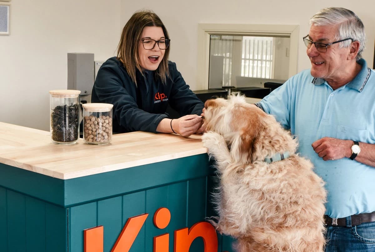 Dog starting their stay at a Kip reception drop off